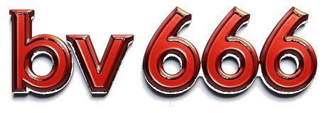 bv666 logo